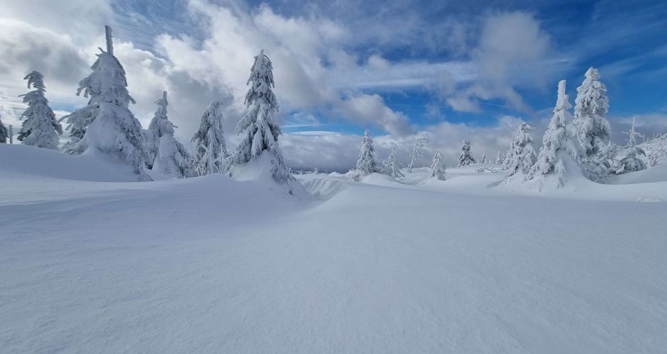 Winterwärts
