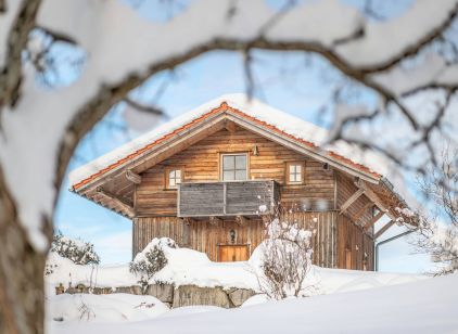 Bild der Wohneinheit Chalet Hoizhaus