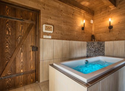 Bild der Wohneinheit Chalet Hoizhaus
