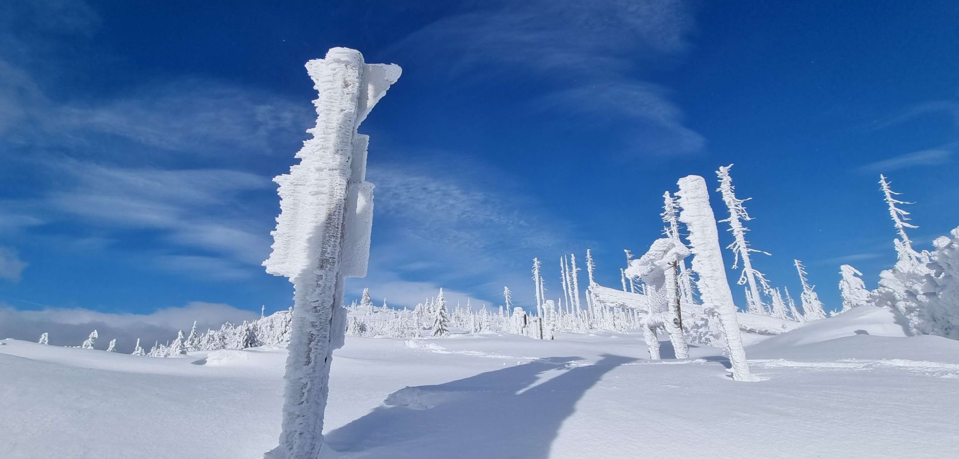 Winterwärts