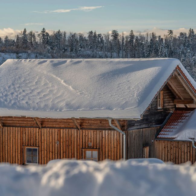 Die Wohneinheit Chalet Hoizhaus im Edlgütl