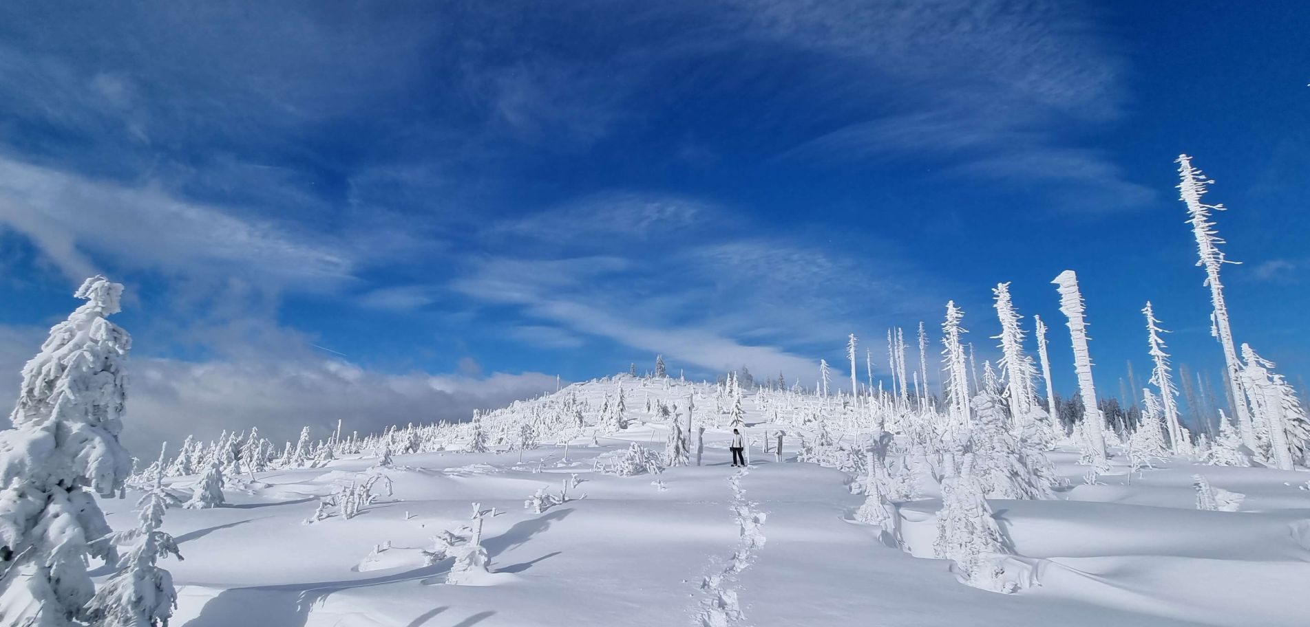 Winterreise